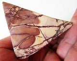 Utah WonderStone Arenito riolito Jasper Picture Rock polido