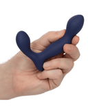 Pornhint Viceroy Expert Butt Plug & Prostate Stimulator